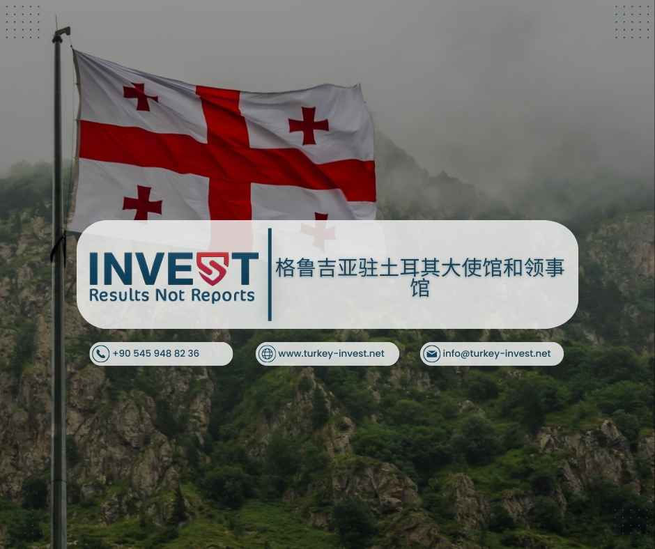 格鲁吉亚驻土耳其大使馆和领事馆