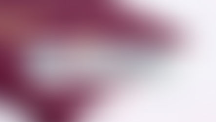 Россияне владеют недвижимостью в Турции и получают турецкое гражданство (подробное руководство)