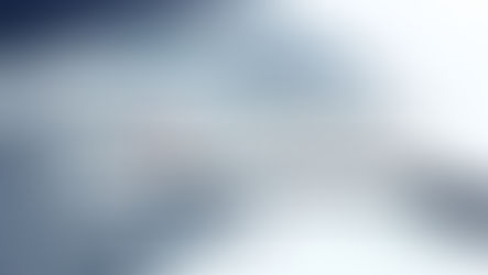 Услуги, которые можно получить через портал E-Devlet