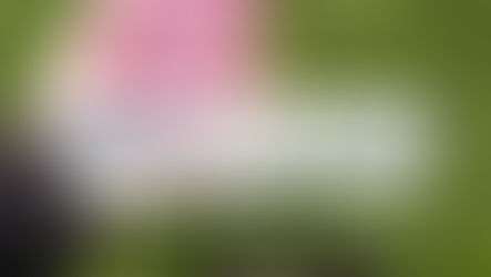 پاسپورت ترکیه: قدرت، پیشرفت ها و مقایسه با قدرتمندترین پاسپورت های جهان