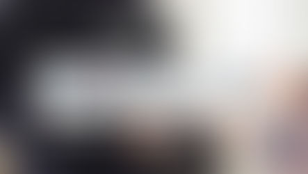 مرحله ممیزی امنیتی و آرشیو شهروندی ترکیه (مرحله چهارم)