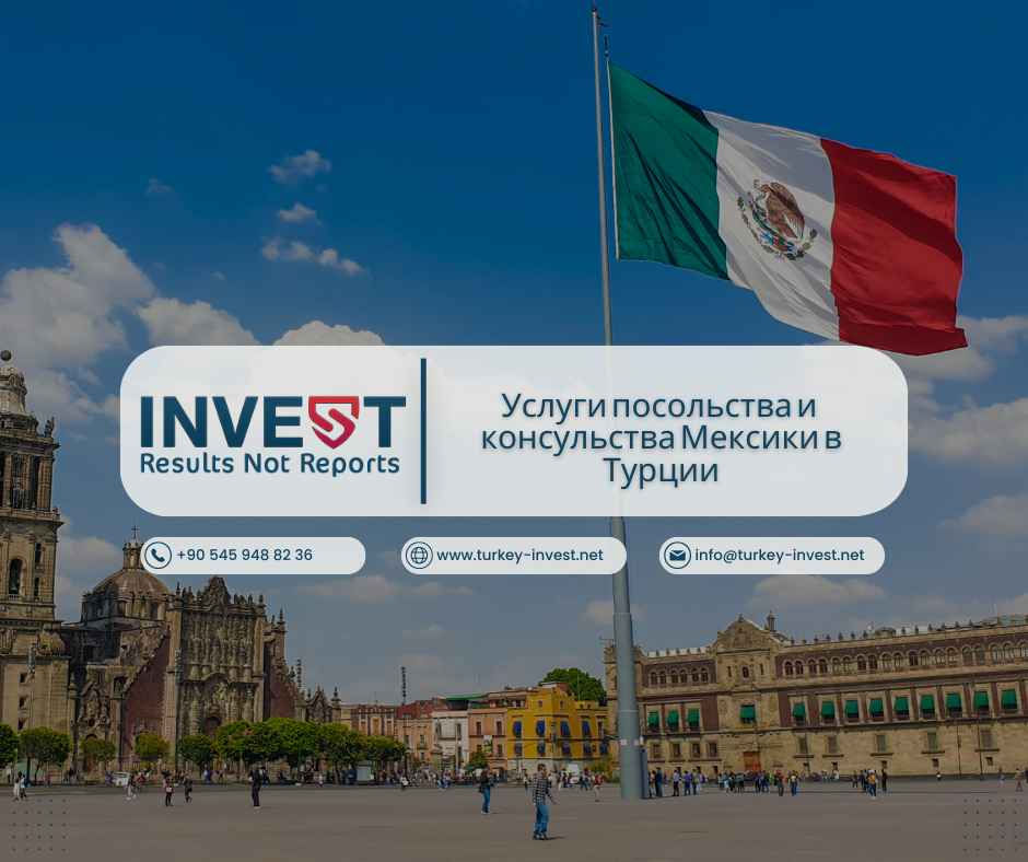 Услуги посольства и консульства Мексики в Турции