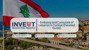 Embassy and Consulate of Lebanon in Turkiye (Detailed Guide)