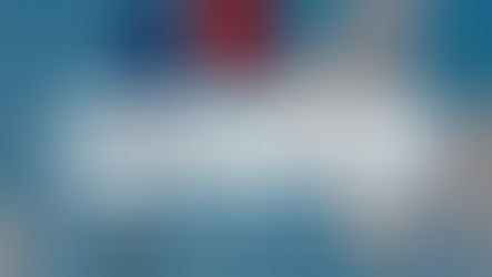 Посольство и консульство Франции в Турции