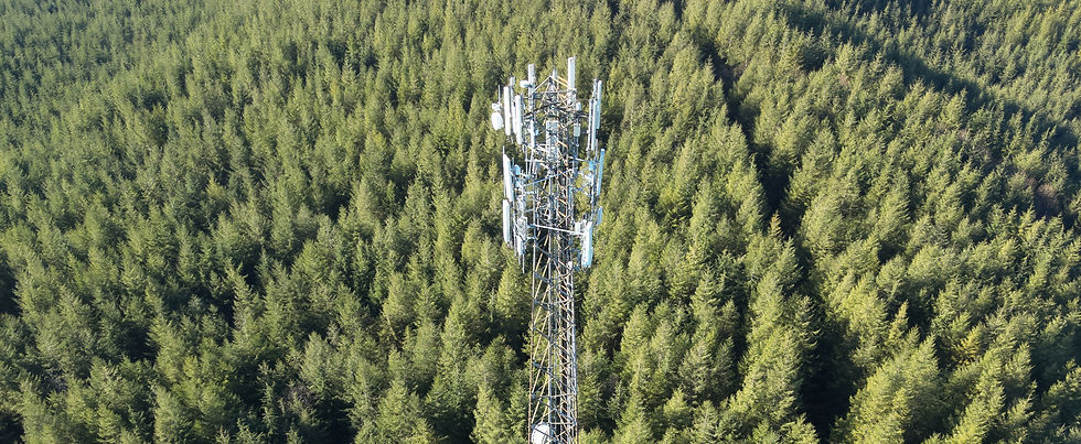 Main Picture (4)_edited_edited_edited.jpg