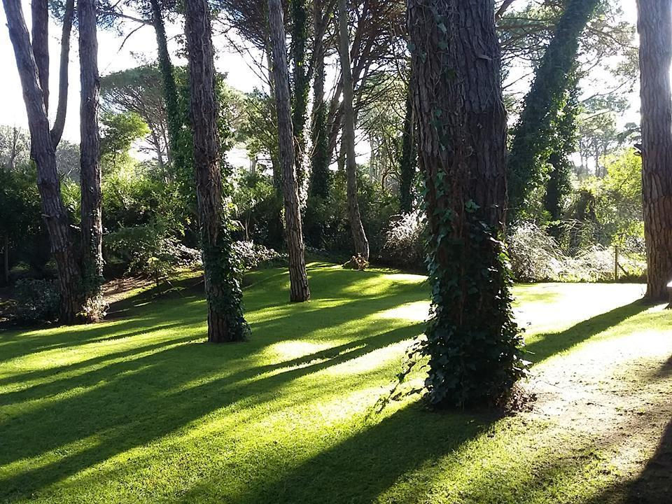 Miniatura: Moderna propiedad en Cariló