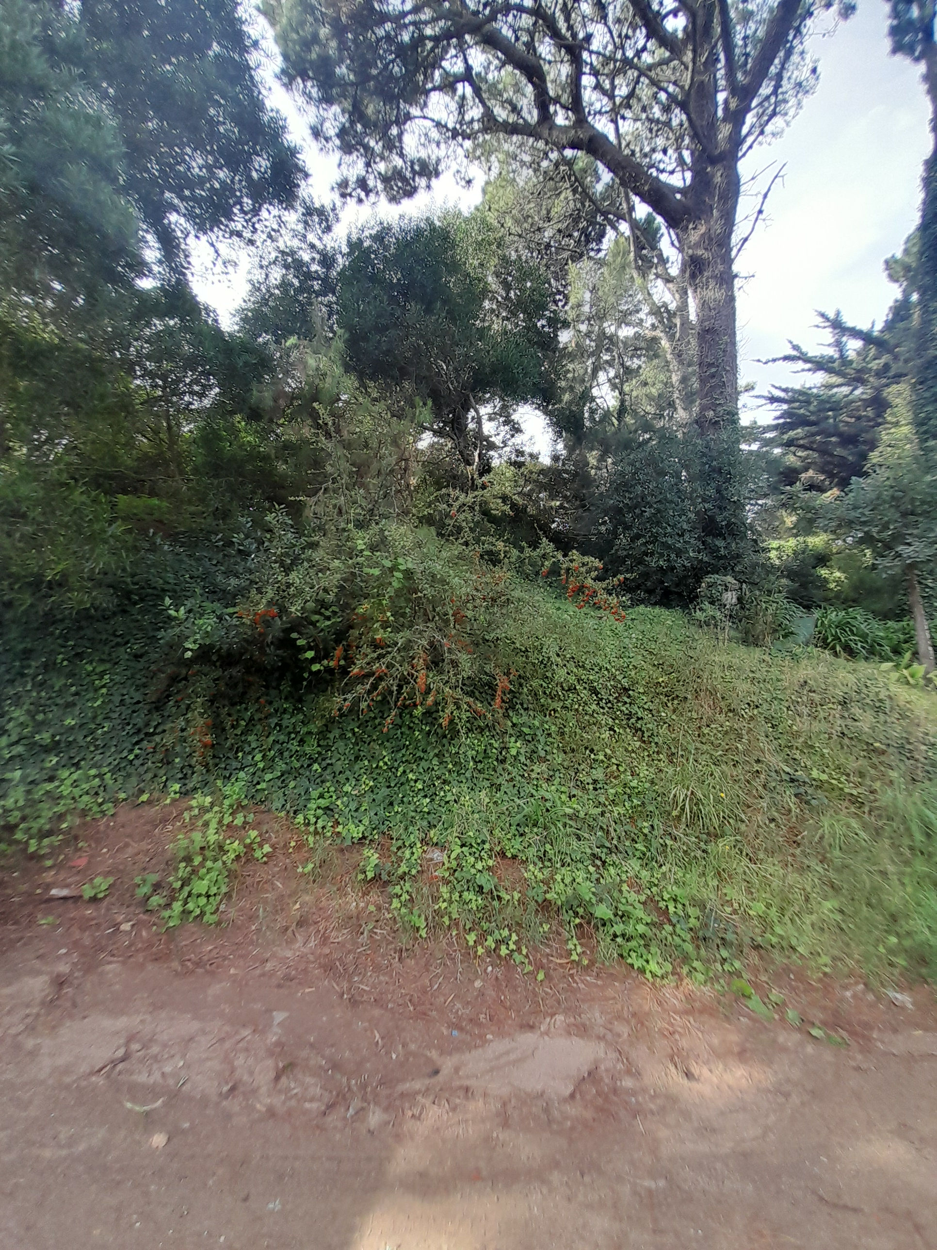 Lote en excelente ubicación!!! Valeria del Mar