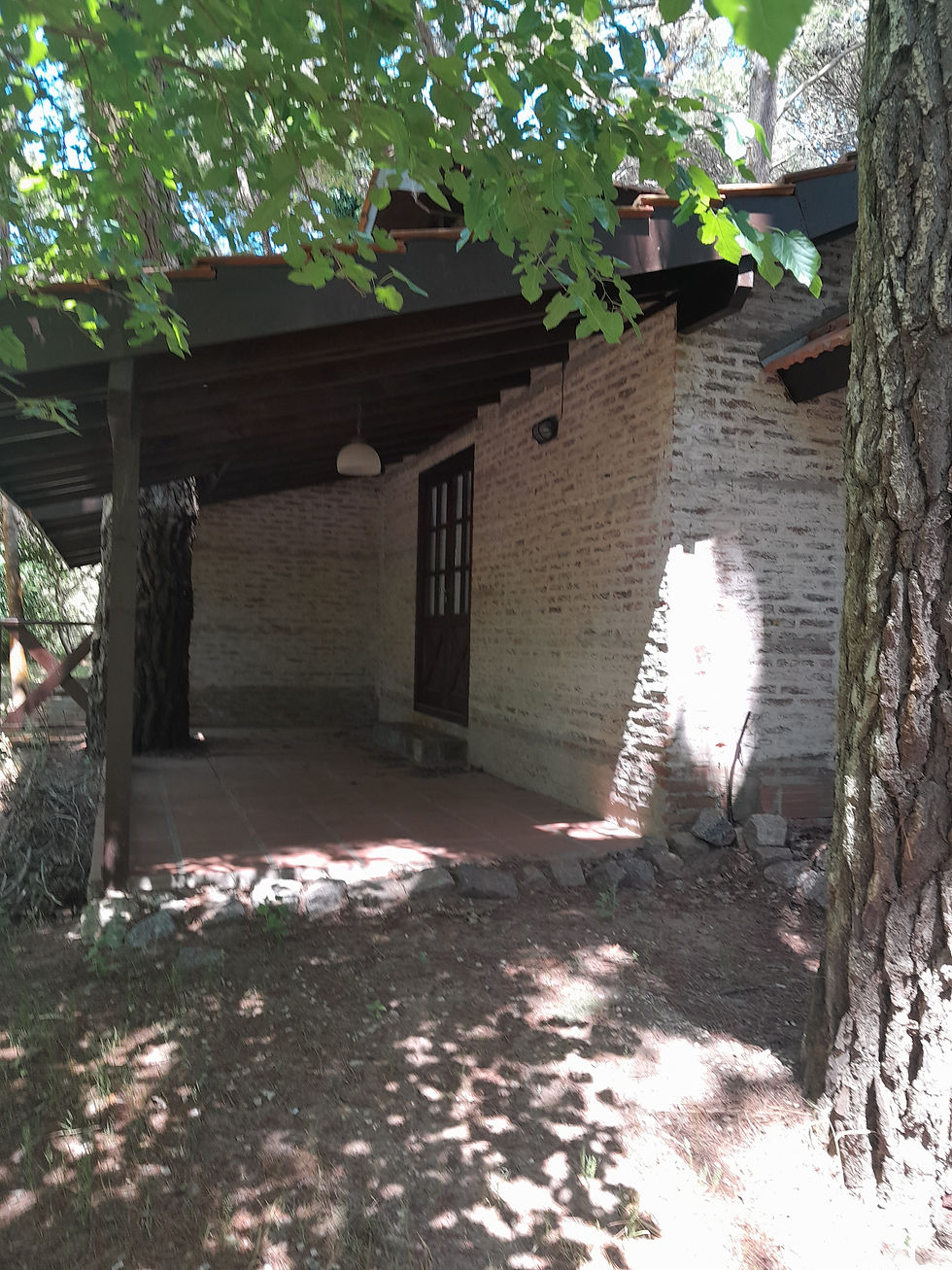Miniatura: Cabaña en el bosque