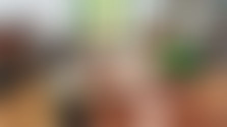 Calendário escolar de 2026 é apresentado ao Conselho da Educação