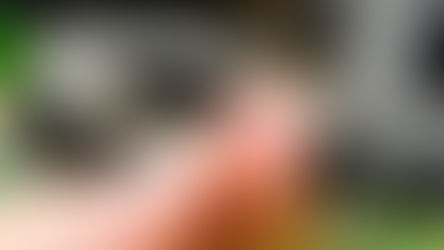 Motuca registra 9 casos de dengue no ano; agente reforça importância de notificações