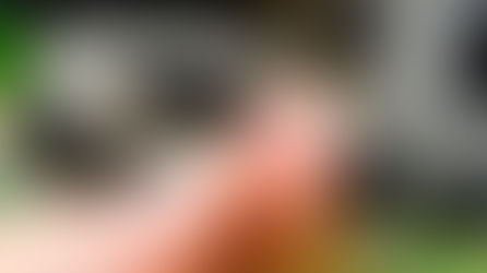 Motuca registra 9 casos de dengue no ano; agente reforça importância de notificações