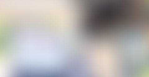 Paulo teve que se mudar, mas não queria deixar Spike