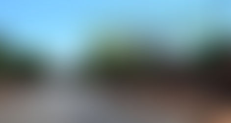 Cortes e podas irregulares prejudicam arborização urbana em Motuca