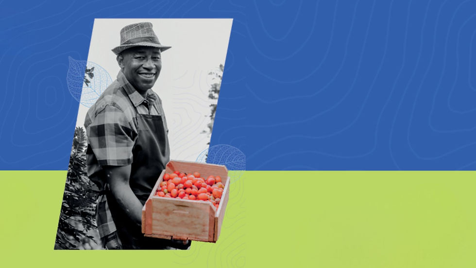 Sebrae abre inscrições para o Ciclo VI do Programa ALI Rural na região