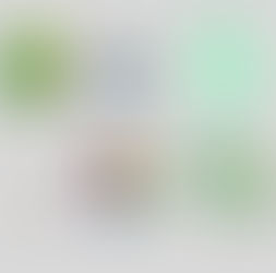 Minha causa! Cenário lança projeto voltado a participação e transparência em áreas sociais