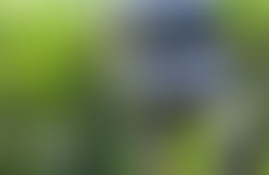 Carro supostamente usado por assaltantes de Araraquara é encontrado em área rural de Motuca