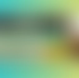 Evento em Araraquara abordará desafios e soluções para integrar agricultura familiar ao PNAE