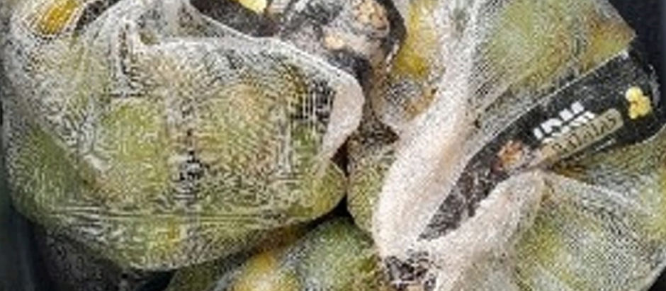 Motociclista é flagrado em vicinal com sacos de laranja furtados de fazenda da região