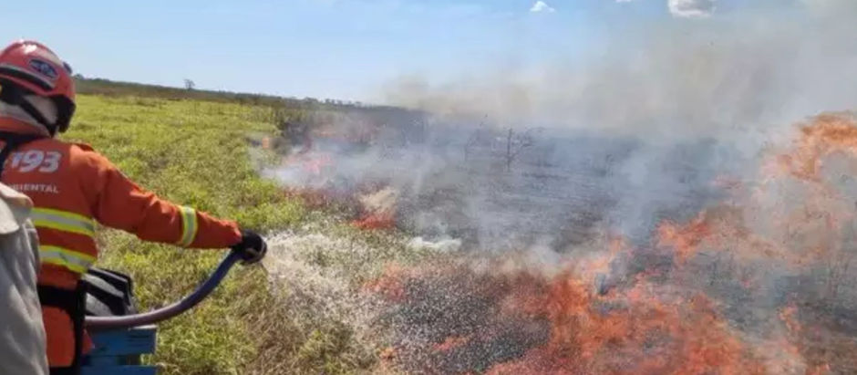 Motuca ainda não aderiu ao programa “Operação SP Sem Fogo”. Conheça sua importância
