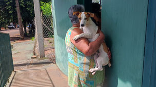 Inscrições para castrações de cães e gatos serão realizadas hoje (6) com vagas limitadas