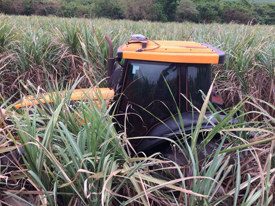 Trator escondido em canavial em Motuca