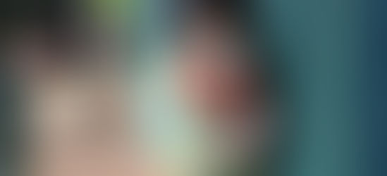 Prefeitura não realizou castrações de animais em 2024, apesar de previsões em contrato