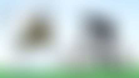 Circuitos do Monte Alegre passam por análise técnica para impulsionar turismo rural