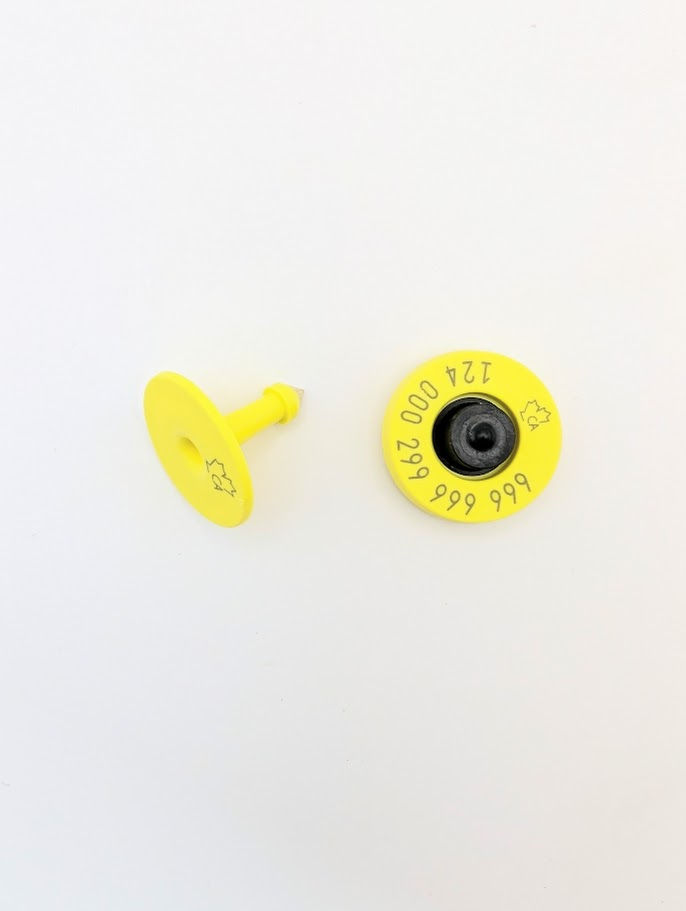 Allflex CCIA RFID Tags (per tag)