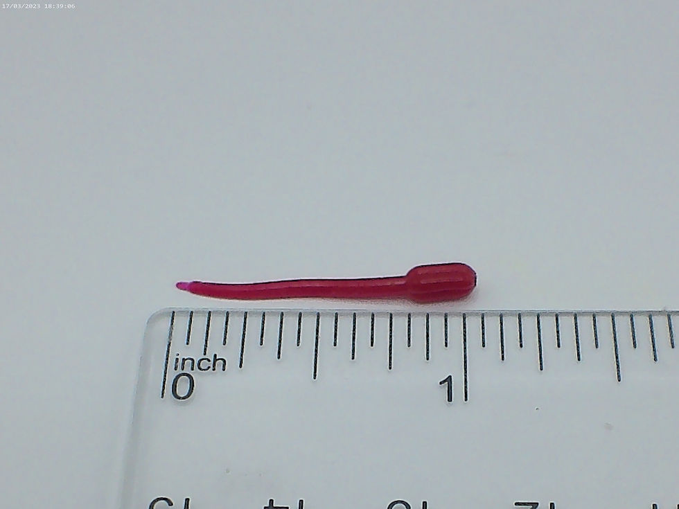Red Micro Small Ice Fishing lure
