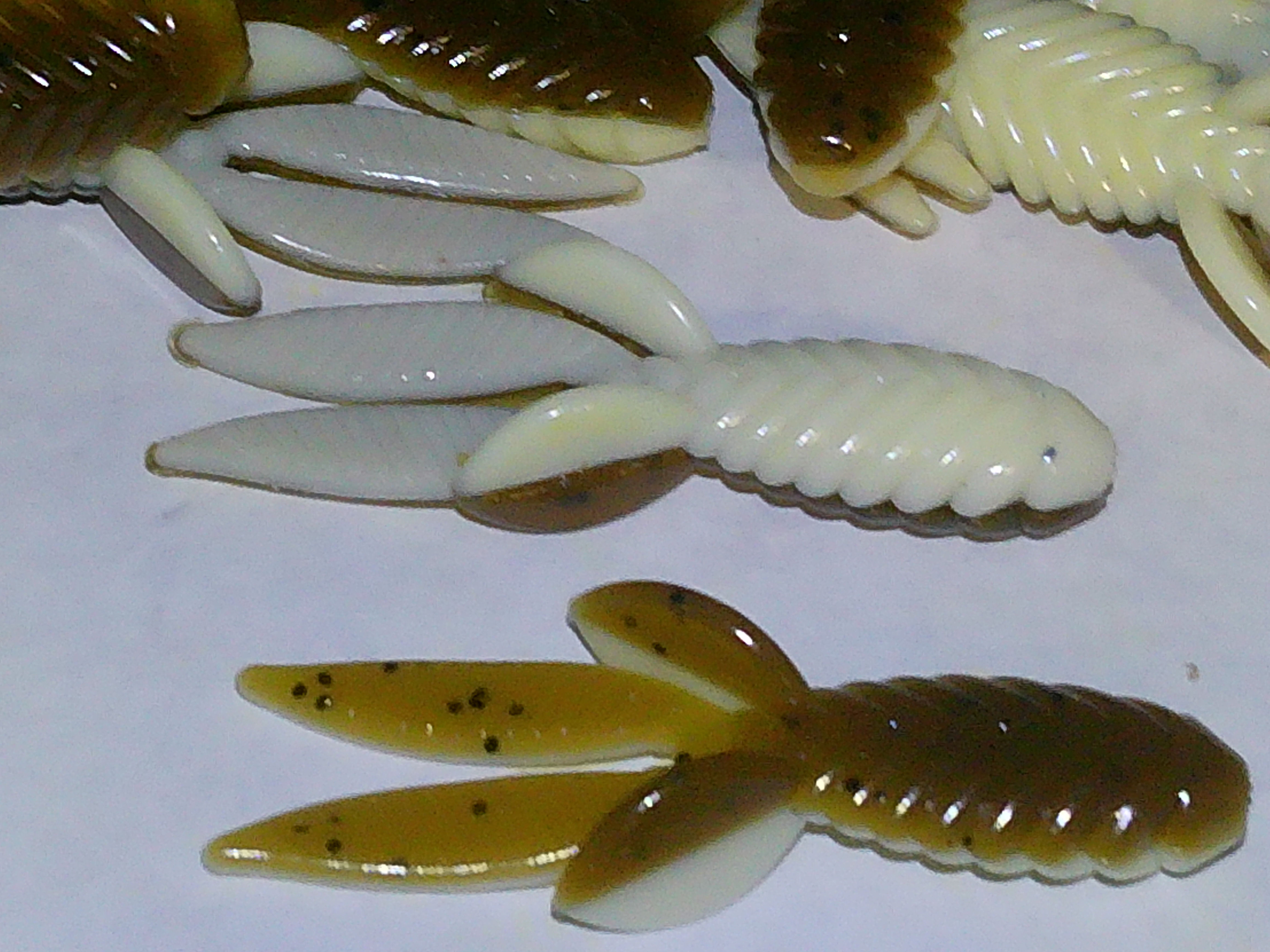 green pumpkin brown/white creature baits