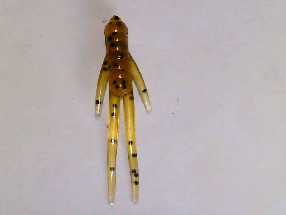 Thumbnail: 100 Lot CRICKET 2" Soft Plastic Fishing Lure Bait Crappie Trout Panfish Walleye 