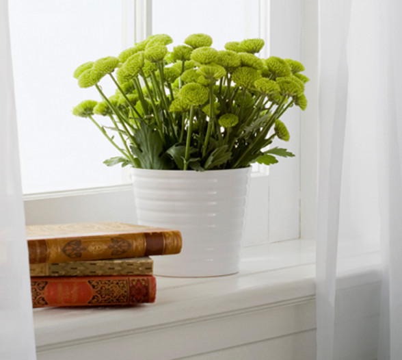 Vase with Flowers