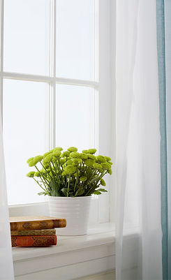 Vase with Flowers