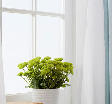 Clean window vase