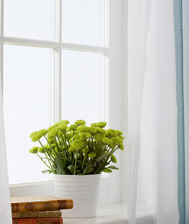 hassle free cleaning