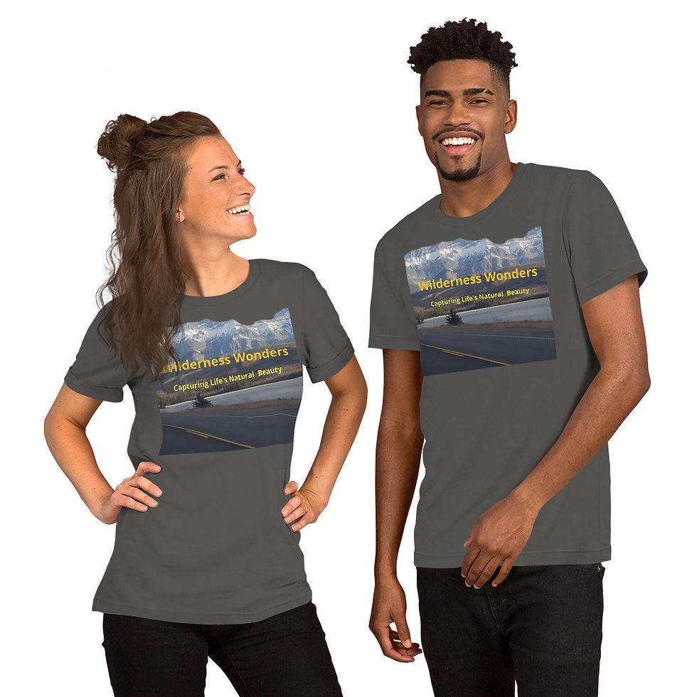 Thumbnail: Unisex t-shirt