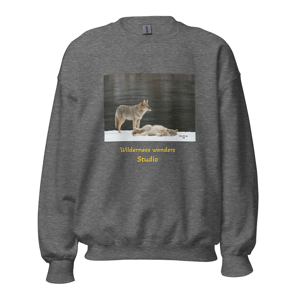 Thumbnail: #002 2 coyote cubs Unisex Sweatshirt