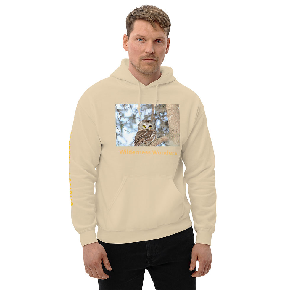 Thumbnail: #005 OWL