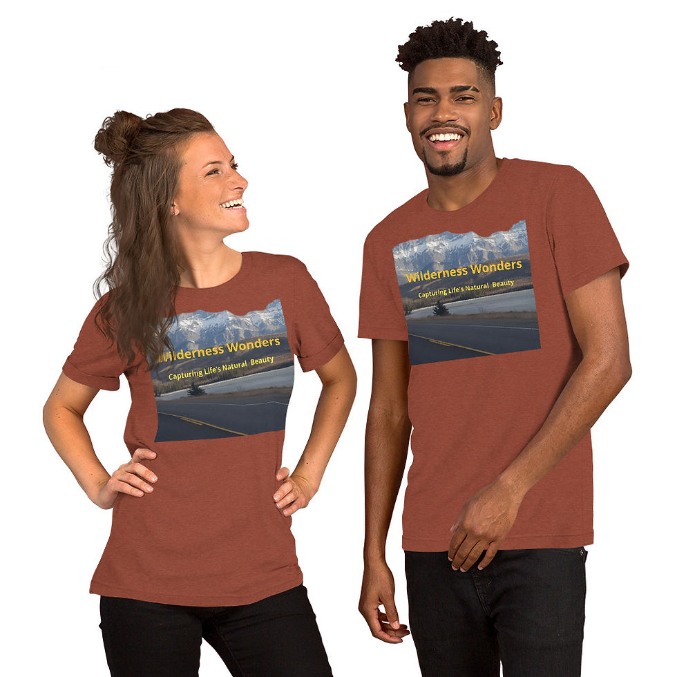 Thumbnail: Unisex t-shirt
