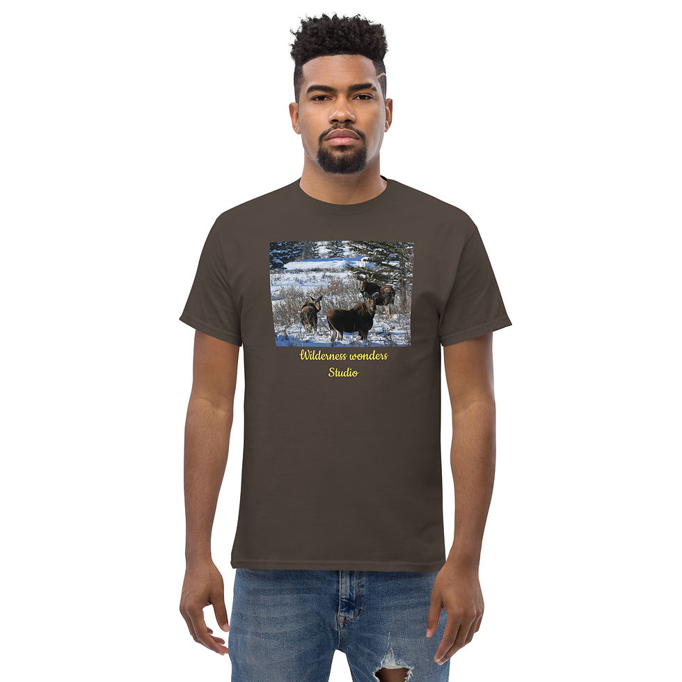 Thumbnail: Unisex classic tee