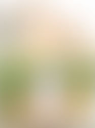 Beautiful Family + Maternity Session at Saguaro Lake