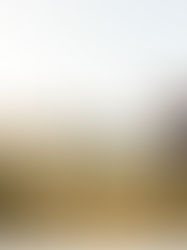 Sunset Engagement Photos in the Warm Glow of Arizona's Beautiful Desert