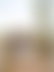 Family Sunset photos in the Scottsdale desert with This Cute Party of Five