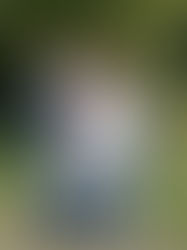 Where the Wild Things Grow: Beautiful family portrait session in Scottsdale Arizona