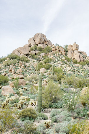 0006_four_seasons_wedding_scottsdale_az_