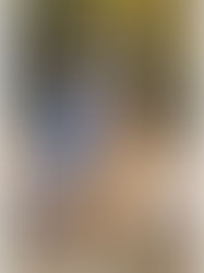 All the Fall Vibes with the Siddell's - Flagstaff Aspen Tree Family Portrait Session