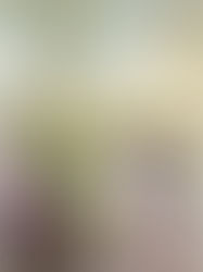 Cute Maternity Photos in Scottsdale, Arizona