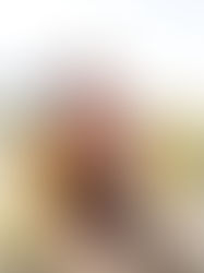 Desert Boho Autumn Fun - The Hoffman family in the fall Arizona Desert of Scottsdale