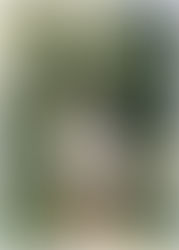 A young women walks through sunlit olive trees in a white dress and boots. Senior photos in Arizona.