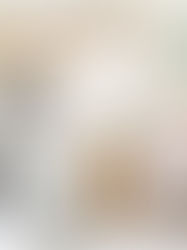 Olsen Family - In home family & newborn lifestyle shoot